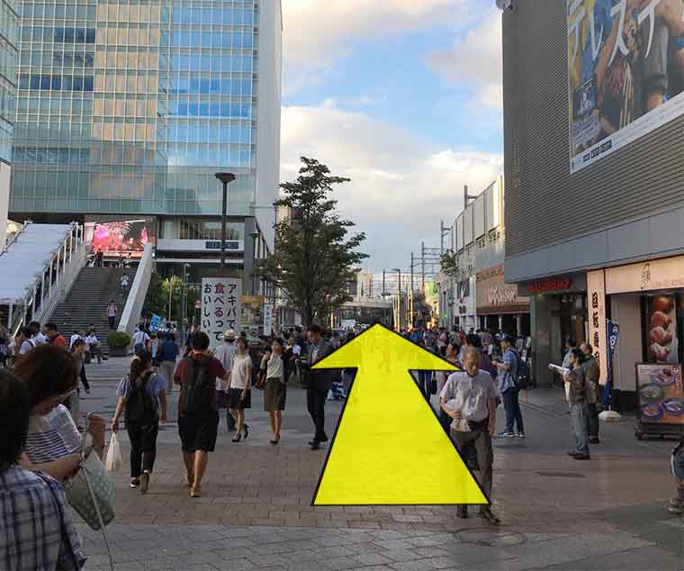 케이오 이노가시라선 신센 역